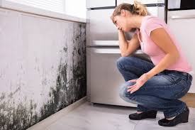 Reliable Patterson, CA Mold Prevention & Removal  Solutions